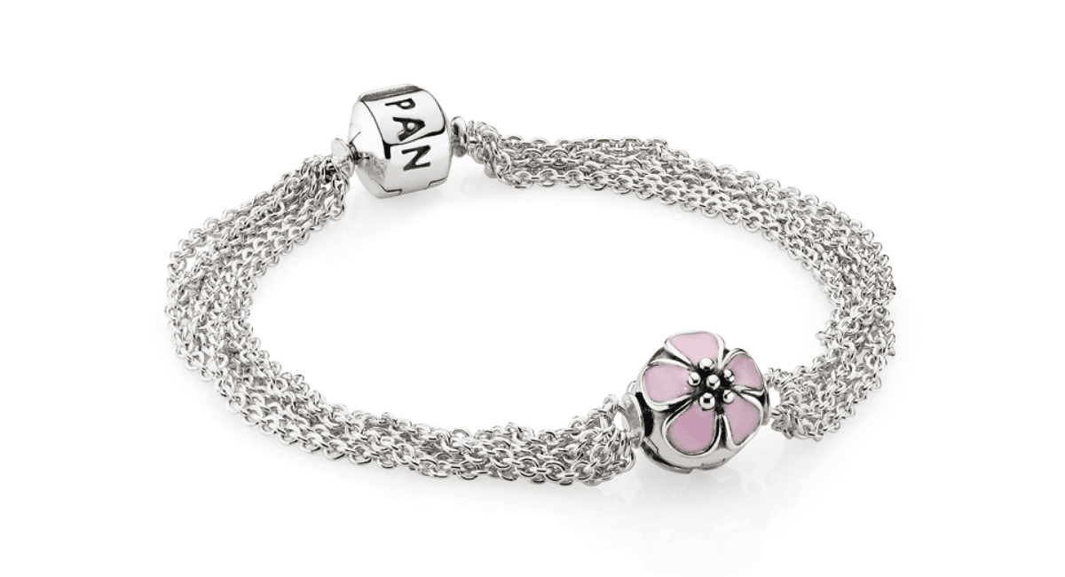 Charming Pandora Bracelet with Unique Charms